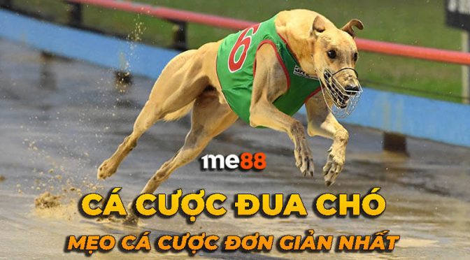 Tại sao nên chơi Sic Bo tại sòng bạc đạt chuẩn Dt68? - Dt68