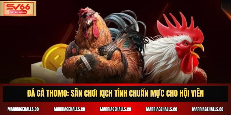 Hướng dẫn chi tiết nhất về cách đăng ký tài khoản game bóng đá cấp Mot88 - Mot88