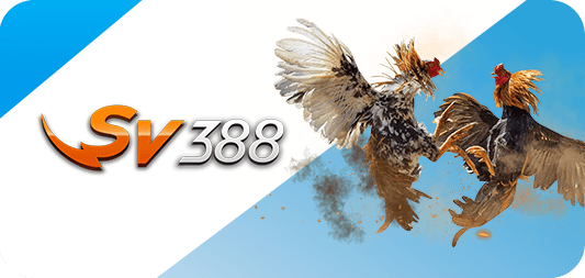 Sản phẩm được đánh giá 84Win, rất được khuyến nghị, mời bạn dùng thử! - 84Win