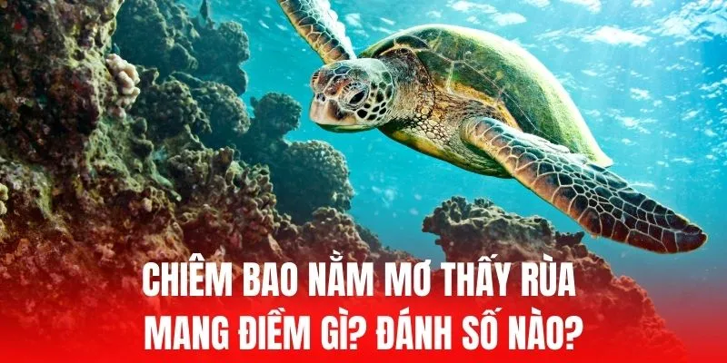 Việc tạo tài khoản Vwin88 rất đơn giản và phù hợp với mọi lứa tuổi - Vwin88