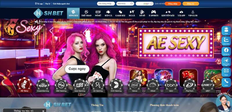 Vvvwin Fortune 2026 – Trò chơi Roulette và Slot may mắn, với giải thưởng cao nhất lên đến 1000 lần - Vvvwin