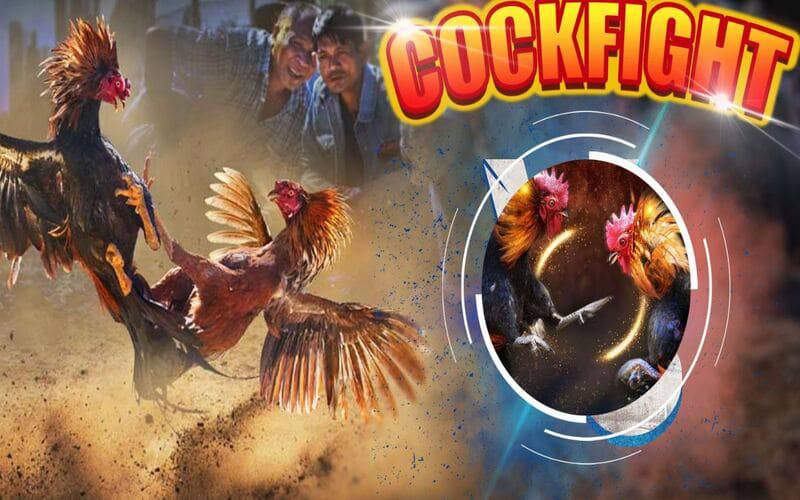 Giao diện của 126Bet rất đẹp và sang trọng - 126Bet