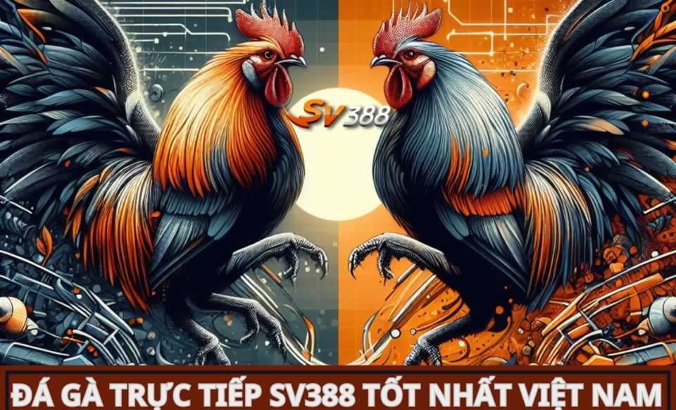 Đánh giá về nhà thi đấu bóng bàn Bj88 - Bj88