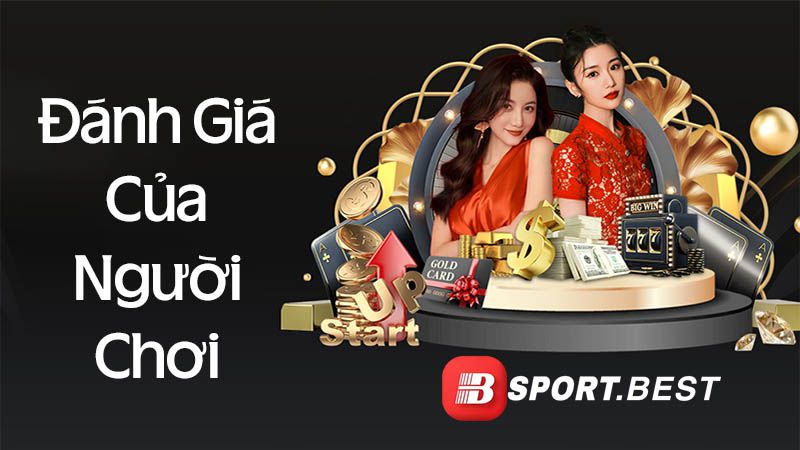 Dòng sản phẩm này được phát triển bởi Cv88 - Cv88