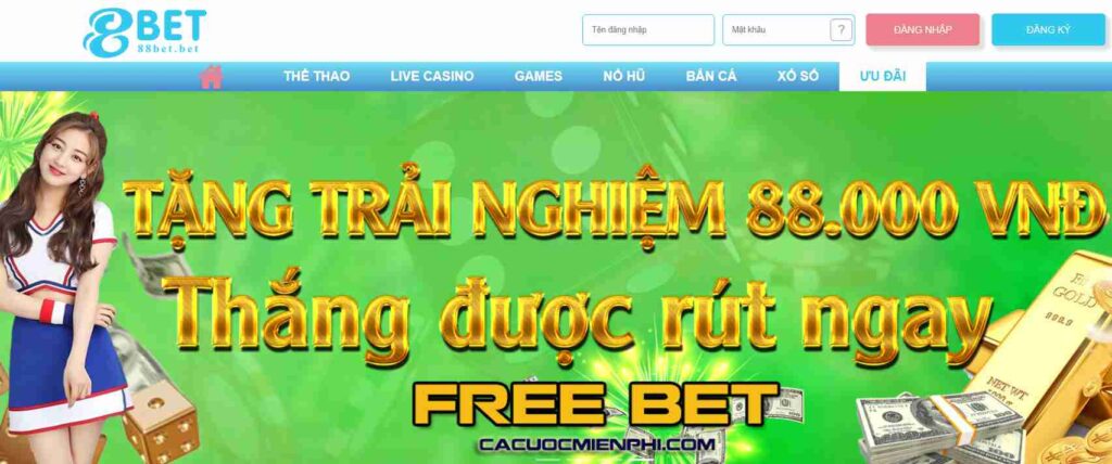 Jili là một công ty game có uy tín trên thị trường - Jili