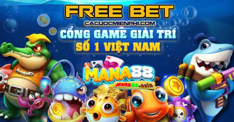 Chương trình khuyến mãi Bigboss tuân theo các điều khoản và điều kiện và cung cấp mức giảm giá 100000 - Bigboss