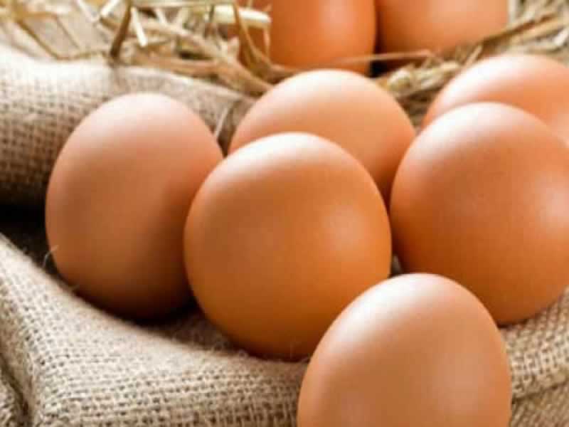 Hệ thống Haywin cung cấp rất nhiều trò chơi trực tuyến đa dạng - Haywin