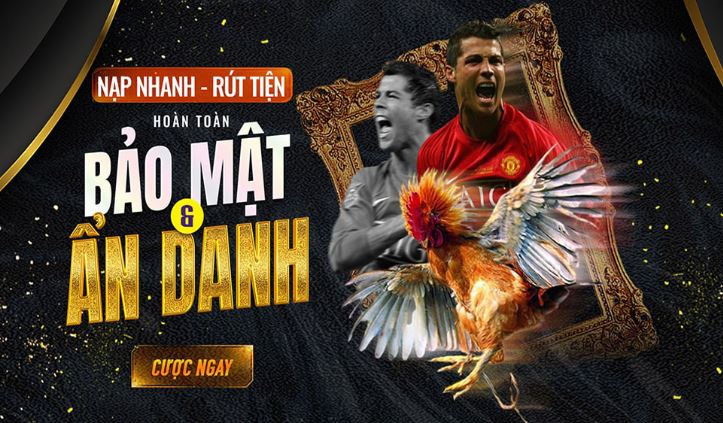 Hướng dẫn đăng ký tài khoản mới để nhận ưu đãi khuyến mãi 168k Benbet - Benbet