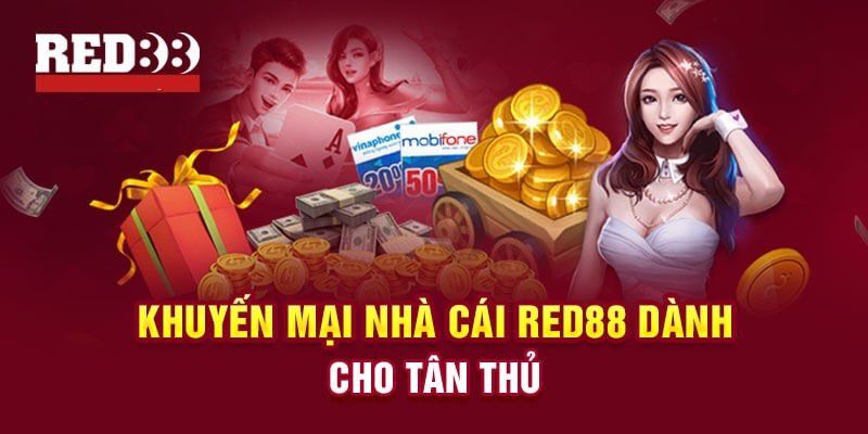 Luật chơi bài Viu88 dành cho người mới bắt đầu - Viu88