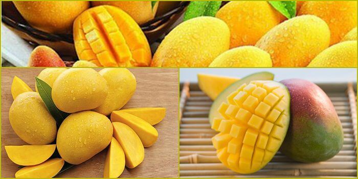 Link tải game thẻ bài Vbo99 chính thức năm 2026 - Vbo99