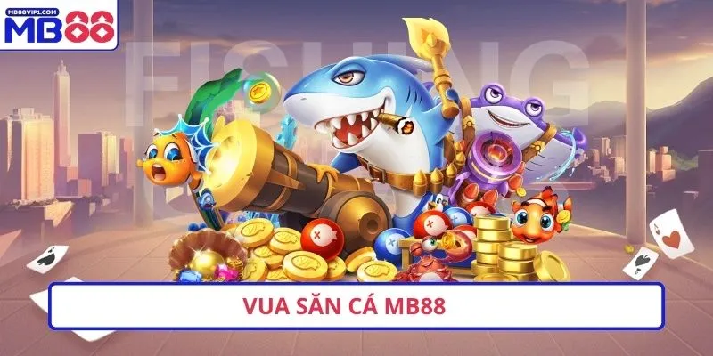 Zm88 đã triển khai một số hoạt động quảng bá quan trọng - Zm88