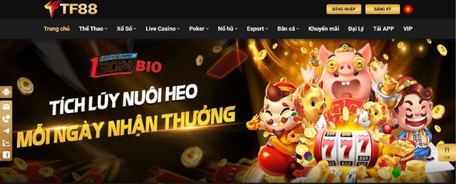 Xếp hạng tổng thể của câu lạc bộ Jdb666 - Jdb666
