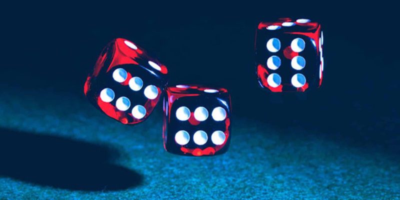 Sv368 Bet cũng coi trọng các khía cạnh khác - Sv368