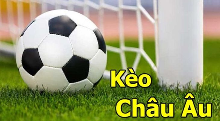 Trang web cá cược Sic Bo hàng đầu 009Bet - 009Bet