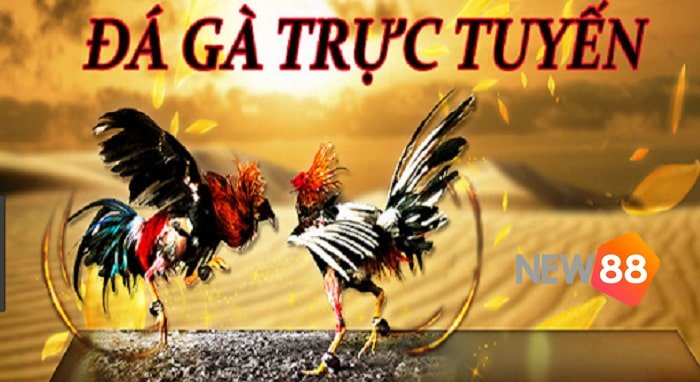 Ai không biết đến công ty game này thì không phải là một người chơi cờ bạc thực thụ - Rw88