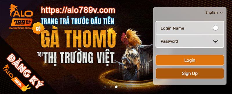 Các nền tảng trực tuyến tốt nhất và an toàn nhất năm 2026 (Go88) - Go88
